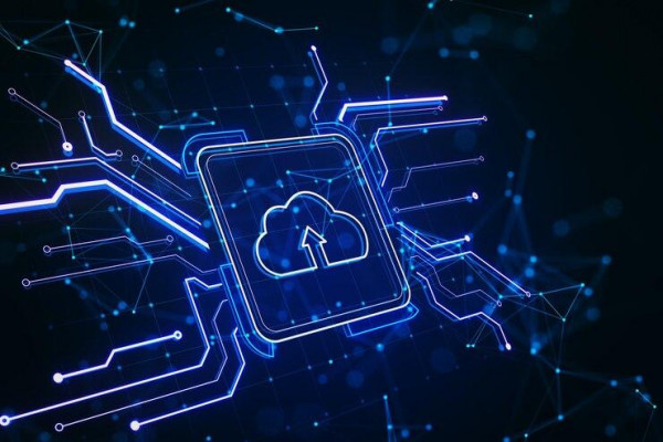 Cloud Computing Security