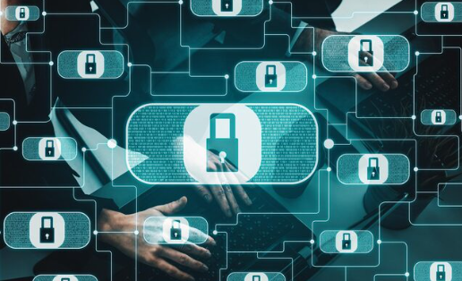 Data Anonymization Techniques